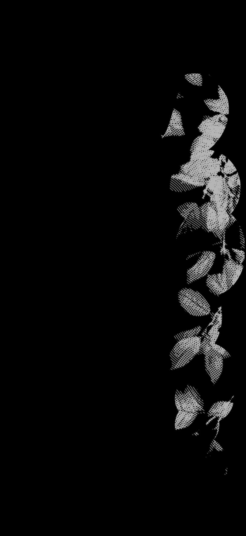 Leaves background